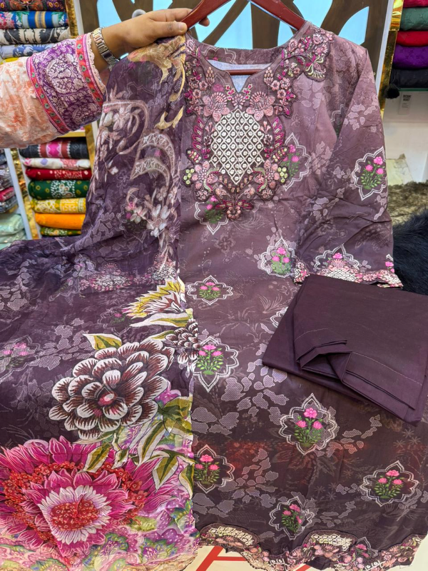 Pakistani Inspired Organza Panel Stitched Lawn Dress